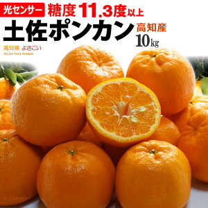 �y���悳�����|���J�� �G (��10kg) ���m�Y ���x11.3�x�ȏ� �ۂ񂩂� 10�L�� �|���J�� ponkan ���� �M�t�g ���k ���� mandarin orange �H�i �t���[�c �ʕ� �݂��� �|���J�� �䋟�� ������ ���x �Â� �l�C 