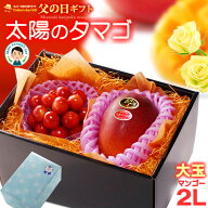 父の日 ギフト 太陽のタマゴ (2L×1玉/約350g以上) と 山形さくらんぼ 佐藤錦 (M玉×約100g) セット 秀品…