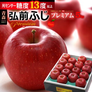 v~A ӂ OOӂ (5kg) XY ӂ x13xȏ I p   S ь apple ringo 5L Hi t[c ʕ  Mtg 蕨   䋟 