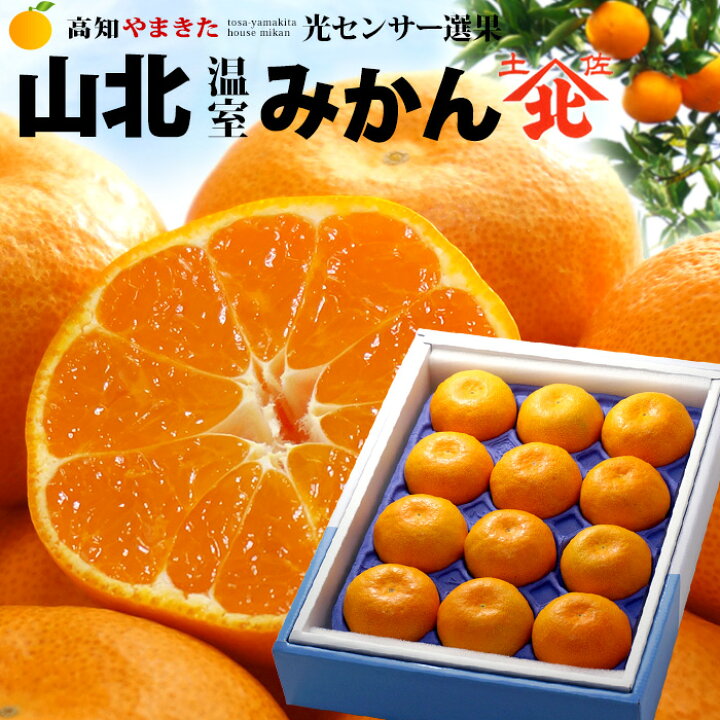 楽天市場】ハウスみかん 山北みかん (約1kg) 高知産 山北温室みかん  