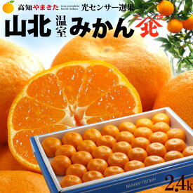 ハウスみかん 山北みかん (約2.4kg) 高知産 山北温室みかん 温室みかん 秀品 S M 小玉 光センサー ハウス栽培 温室みかん部会 mandarin orange 高糖度 食品 フルーツ 果物 みかん 温州みかん ミカン 蜜柑 化粧箱 ギフト 贈答 お中元 御中元 御供え お供え 送料無料