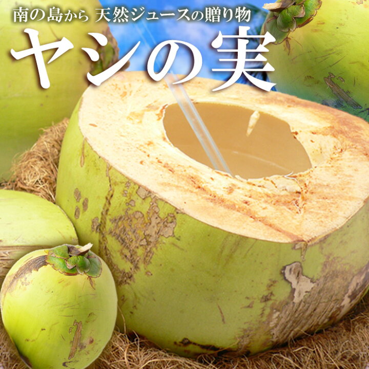 楽天市場 ヤシの実 5玉 フィリピン産 ココナッツ ヤシノミ やしの実 椰子の実 ココヤシ ジュース 送料無料 まいど おおきに屋クラクラ 楽天市場 ヤシの実 5玉 フィリピン産 ココナッツ ヤシノミ やしの実 椰子の実 ココヤシ ジュース 送料無料 まいど おおきに屋クラクラ