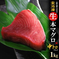 生本マグロ 中トロ ブロック (約1kg) 国産 (主に 鹿児島産 長崎産 高知産) 蓄養 生まぐろ 生マグロ 生鮪 …