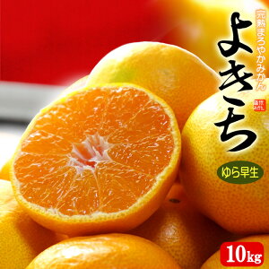 Lc݂ 瑁 ܂₩悫 G S-M (10kg) a̎RLcY Lc݂ RǑ݂ }`핢͔| Hi t[c ʕ ݂ Â lC j  ΂ 2025 Mtg   