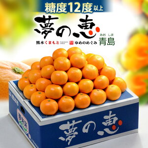 ���݂��� ���̌b M-L (��4kg) �F�{�Y �G�i �� �݂��� �~�J�� ���� �����p �M�t�g ���x12�x�ȏ� �Â� �����x ���� �~�J�� ���� �H�i �t���[�c �ʕ� �݂��� �Â� �l�C �j�� ���� ��΂�� 2026 ��