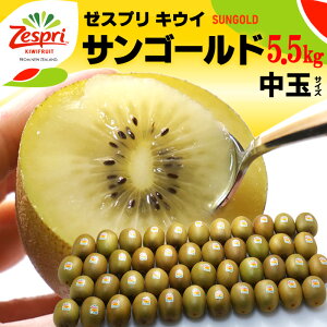 �[�X�v�� �T���S�[���h�L�E�C (41��-44�ʑO��/��5.5kg) �j���[�W�[�����h�Y ���� �S�[���h �L�E�C �L�E�C�t���[�c kiwi �L���E�C �H�i �t���[�c �ʕ� �L�E�C�t���[�c �Â� �l�C �j�� ���� ��΂�