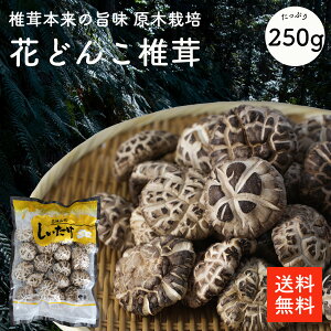 Ԃǂ񂱒ő250g | ؍͔| ōi Ԓő 炵i i  VC^P ő  VC^P o`  _V Iʕiyzcp