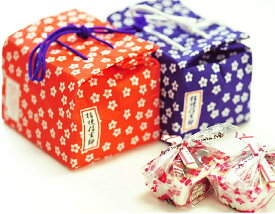 桔梗信玄餅 6個袋入り【年中無休】のし名入れ無料 のし 名前 信玄餅 桔梗屋 内祝 お祝い お祝い返し お供え