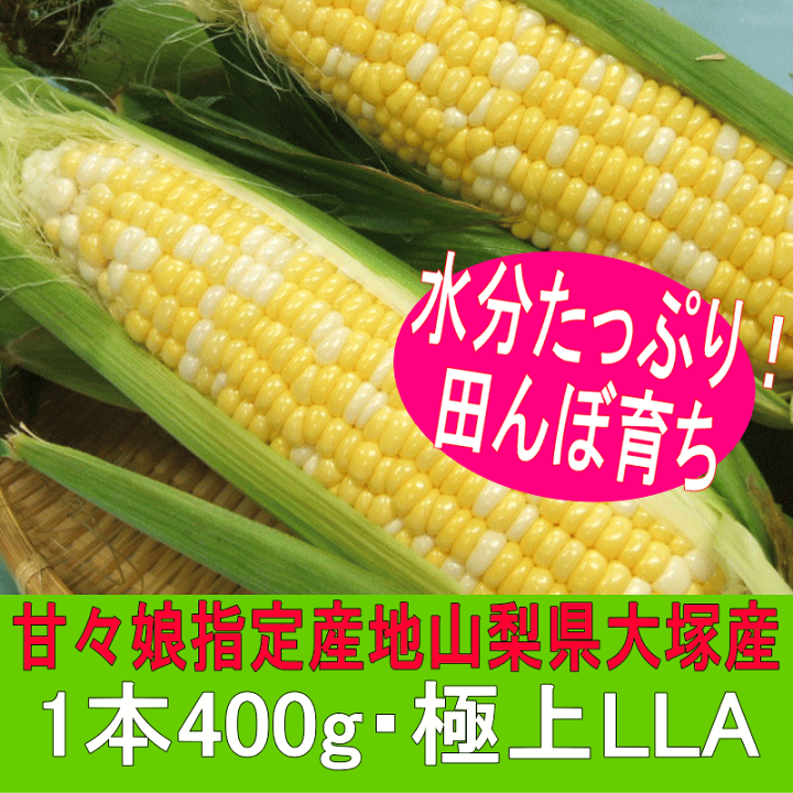 楽天市場】【6月21日販売終了】スイートコーン 甘々娘 3キロLA