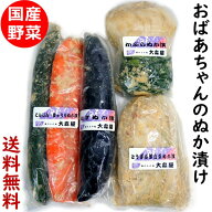 送料無料 おばあちゃんのぬか漬けセット 国産野菜 糠漬け 5種 ( 人参 胡瓜 茄子 かぶら 白菜 ※変更の場…