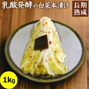 とうざぶ郎・白菜本漬け 1kg袋入り 【クール便】大森屋 漬物 とうざぶろう 白菜 本漬け 乳酸 発酵 乳酸菌 業務用 大袋