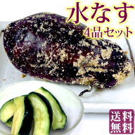 送料無料 水なす ぬか漬＆浅漬 4品セット ( 泉州産 水茄子ぬか漬け×2 / 国産 水ナス浅漬けカット×2 )【…
