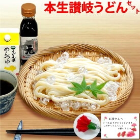 母の日 ギフト 送料無料 本生 讃岐うどん 母の日特典付き 限定セットA （カーネーション＆母の日カード付） プレゼント 香川県 詰め合わせ 生うどん 鎌田醤油 うどん県めんつゆ 再仕込み醤油 「元」 小豆島