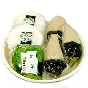 y\iz Ε ~Mtg 2025 O SG-50 (  s Е  ۂЂ ) yN[ցzN wV[ ~G Nn Mtg i  p 疇  疇Ђ 