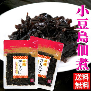  [ ώ 煂炰 70g ܓ×2 ώ  т̂ ٓ ɂ̋ LNQ ؎  }[[ hq h ݖ cHiH |Cg