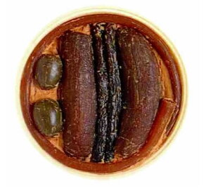 Ε ~Mtg 2025  Moޗǒ l 1200g@N-50 X Е N ȂЂ ޗǒЂ Е ̓ ̓  hV̓ Ε N yA Mtg Z ӉZ イ Z 