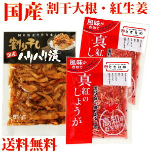  [ Y 卪E^ĝ傤 Zbg  Е mI I 卪 nn   gI Ƃa т̂ Zbg