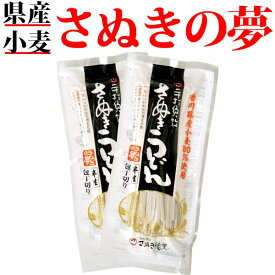 送料無料 メール便 讃岐うどん さぬきの夢 (300g×2袋) 香川県産小麦100%使用香川県 讃岐うどん 国産 半生 お試し 讃岐 さぬきうどん うどん ポイント消化