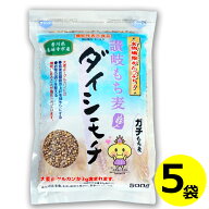 送料無料 讃岐 もち麦 ダイシモチ 500g×5袋 香川県産機能性表示食品 だいしもち ダイシモチ麦 食物繊維 …