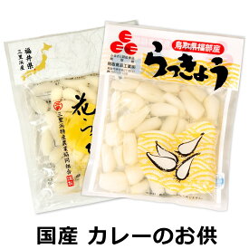 楽天市場 らっきょう 種の通販
