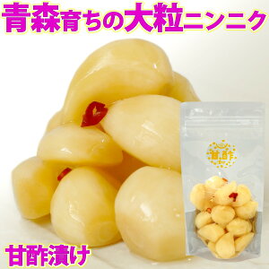 XY Y ɂɂ Ð|Ђ 100g ܓ jjNЂ jjN Ђ |Ђ | ɂɂ f ۑ т̂ ̍ N X^~i