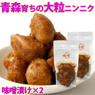 青森産 国産 にんにく 味噌漬け 100g×2袋 送料無料 メール便 ニンニク漬け ニンニク 漬け物 みそ漬け 味…