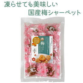 送料無料 メール便 紀州産 南高梅 梅シャーベット はちみつ入り ( 蜂蜜漬け 完熟 梅干 ) 75g 袋入り 梅ぼし 梅屋の自家製造 個包装 携帯 塩分補給 塩分3% クエン酸 熱中症 夏バテ 暑さ対策 和歌山県 田辺市 長生き屋商店 お試し ポイント消化