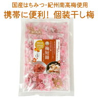 送料無料 メール便 やわらか干し梅 梅短冊 はちみつ入り ( 紀州産 完熟 南高梅 蜂蜜漬け 梅干 ) 40g 袋入…