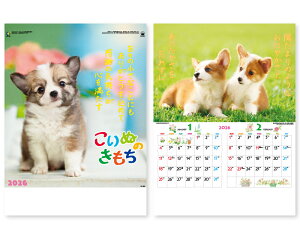 y 25z J_[ 2026N ߘa8N Ǌ| ʂ̂ IC-202H@1666~@ 50 100 150 200 250 ߂ \  Ж c̖   bg 