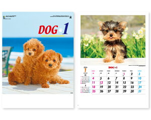 y 25z J_[ 2026N ߘa8N Ǌ| hbO IC-260H@1710~@ 50 100 150 200 250 ߂ \  Ж c̖   ꖳ  