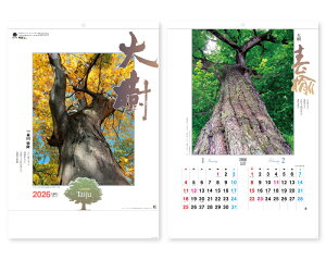 y 25z J_[ 2026N ߘa8N Ǌ|  NA-134@1638~@ 50 100 150 200 250 ߂ \  Ж c̖   bg ꖳ  