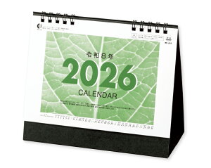 y 50z J_[ 2026N ߘa8N EJ[3F NC-202@1704~@ 100 150 200 250  Ж c̖  { A J N ei LOi Q