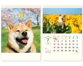 楽天市場 柴犬 カレンダーの通販