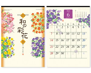 y 25z J_[ 2026N ߘa8N Ǌ| a̍ʉ NK-67@1622~ MM-207@ 50 100 150 200 250 ߂ \  Ж c̖ Ј bgΉ 