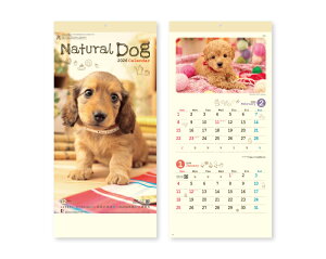 y 25z J_[ 2026N ߘa8N Ǌ| i` hbO NK-434@1545~@ 50 100 150 200 250 ߂ \  Ж c̖ Ј bg