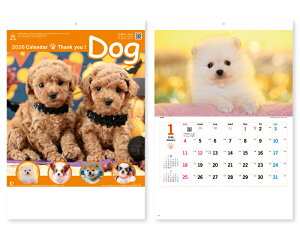 y 25z J_[ 2026N ߘa8N Ǌ| TL[EhbO NK-454@1545~@ 50 100 150 200 250 ߂ \  Ж c̖ Ј bg