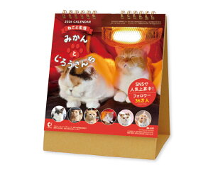 y 50z J_[ 2026N ߘa8N  ˂Ɛ ݂Ƃ낤 NK-527@1666~@ 50 100 150 200 250  Ж c̖ Ј bgΉ