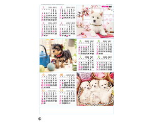 y 25z J_[ 2026N ߘa8N Ǌ| N\  TD-83@1380~@ 25 50 100 150 200 250 |X^[  Ж c̖ Ј  bg 