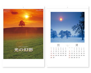 y 25z J_[ 2026N ߘa8N Ǌ| ̌e SB-052@1803~@ 50 100 150 200 250 ߂ \  Ж c̖ ꖳ  { A J