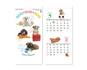 y 25z J_[ 2026N ߘa8N Ǌ| DOGEDOGEDOG ~Vړ SG-143@1539~@ 50 100 150 200 250 ߂ \  Ж c̖ Ј 