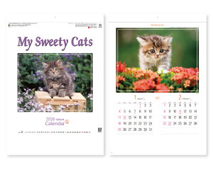 y 25z J_[ 2026N ߘa8N Ǌ| }C XEB[eB[ Lbg SG-163@1550~@50 100 150 200 250 ߂ \  Ж c̖ Ј b