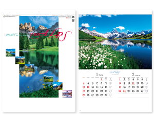 y 25z J_[ 2026N ߘa8N Ǌ| AvX SG-208@1539~@ 50 100 150 200 250 ߂ \  Ж c̖ Ј ꖳ  {