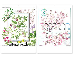 y 25z J_[ 2026N ߘa8N Ǌ| i` XPb` SG-277@1649~@ 50 100 150 200 250 ߂ \  Ж c̖ ꖳ  