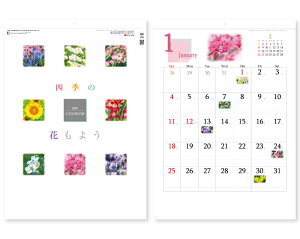 y 25z J_[ 2026N ߘa8N Ǌ| lG̉Ԃ悤 SG-293@1655~@ 50 100 150 200 250 ߂ \  YG-12 Ж c̖ Ј ꖳ