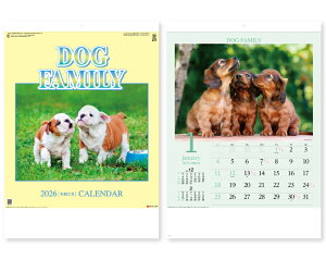 y 25z J_[ 2026N ߘa8N Ǌ| hbOt@~[ SG-295@1589~@ 50 100 150 200 250 ߂ \  YG-32 ND-107 Ж c̖  