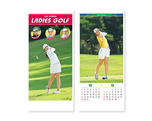 y 50z J_[ 2026N ߘa8N Ǌ| fB[XSt SG-320@SB-010 @1759~@ 100 150 200 250 ߂ \  Ж c̖ ꖳ  {