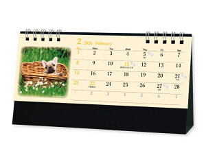 y 50z J_[ 2026N ߘa8N  hbOt@~[ SG-9395@1605~@ 50 100 150 200 250  Ж c̖ Ј bgΉ { A 