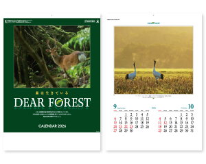 y 25z J_[ 2026N ߘa8N Ǌ| fBAtHXg SP-16@1721~@ 50 100 150 200 250 ߂ \  Ж c̖   ꖳ