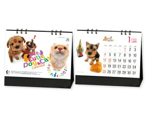 y 50z J_[ 2026N ߘa8N  gX^h L[eB[ihbOLbgj SP-431@1644~@ 25 100 150 200 250  Ж c̖ 