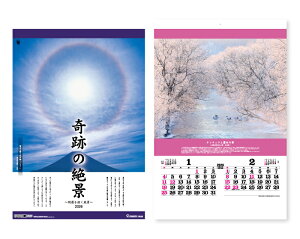 y 25z J_[ 2026N ߘa8N Ǌ| g[nEDX Ղ̐i `J^i` tB TD-504@11,540~@ 50 100 150 200 250 ߂ \ 